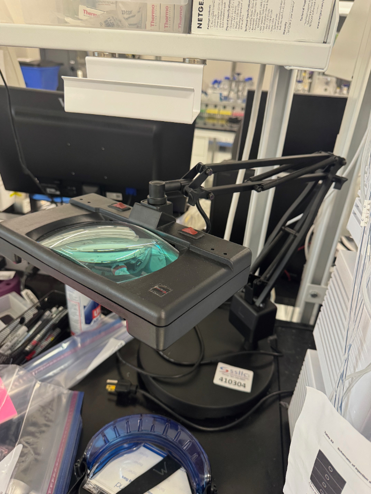 Image of Electrix Magnifying Lamp